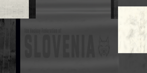 Lukas Horak stick.png