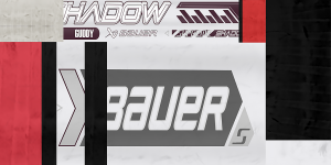 Kristers Gudlevskis stick.png