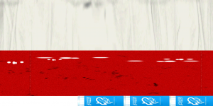 plyrs net fsh.png