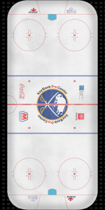 sabres ice.png