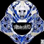 andrei vasilevskiy.png