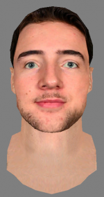 preview brunicke harrison.png