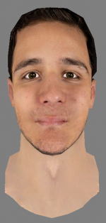 preview carbonneau justin.png