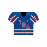 Die Jerseys der USA IHWC 2025