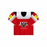Die Jerseys von Österreich IHWC 25