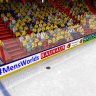 IIHF Fan patch